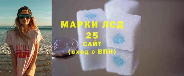 шишки Белоозёрский