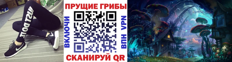 Галлюциногенные грибы Cubensis Короча